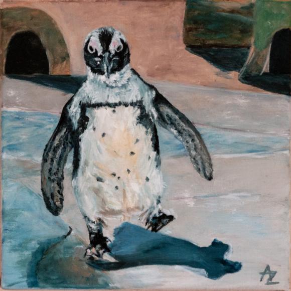 Junger Pinguin