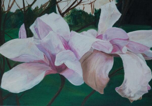 Flowers & Fruits Flowers & Fruits