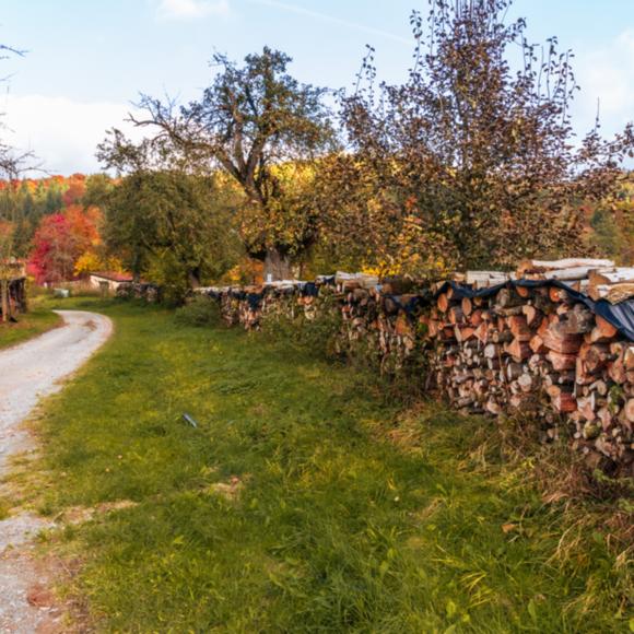 Zwischen Obstwiesen und Wald