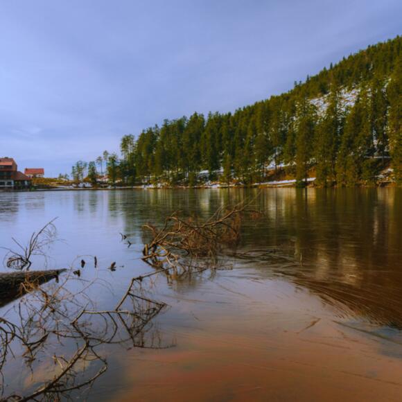 Seeblick