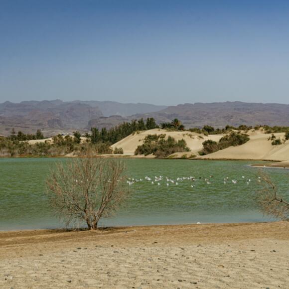 La Charca de Maspalomas