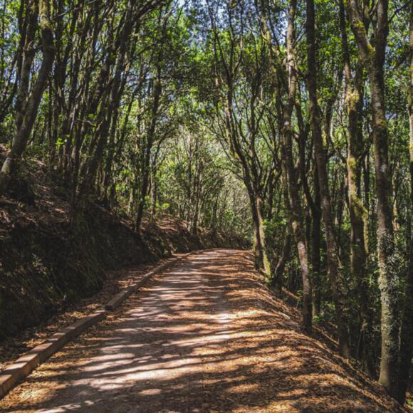 Monte del Agua