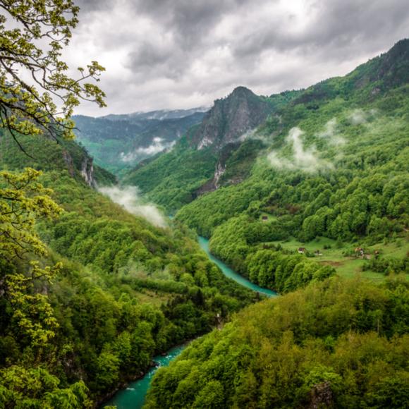 Tara Schlucht