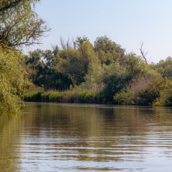 Kanal