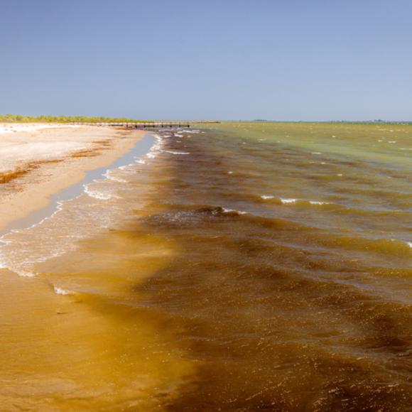 Schwarzes Meer