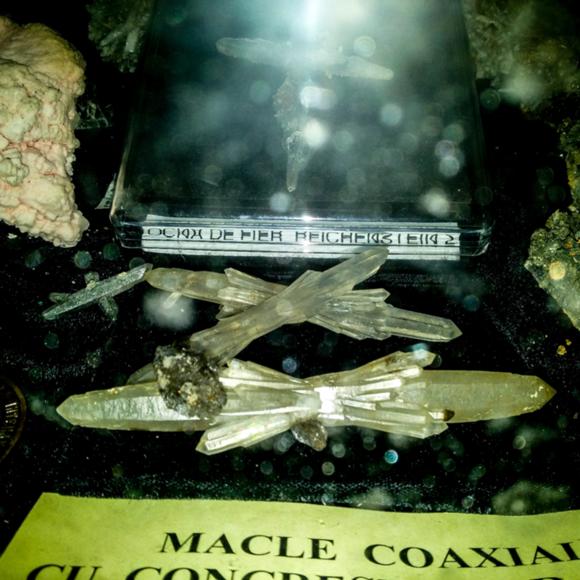 Gruescu-Koaxialzwillinge