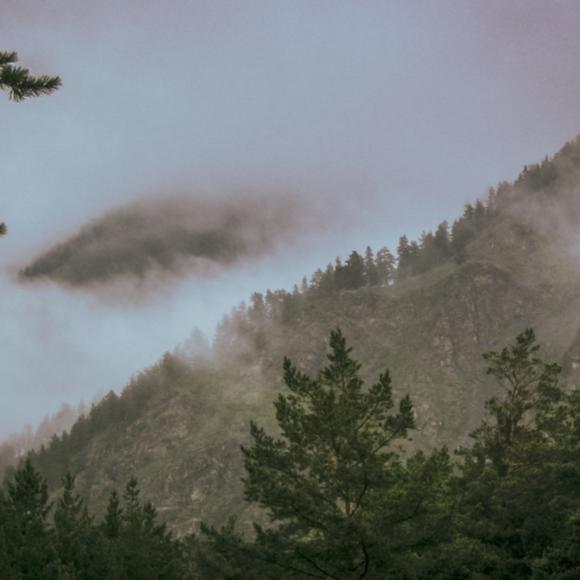 Altai